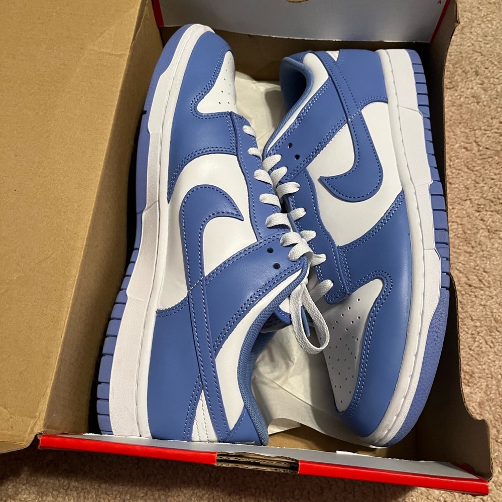Nike dunk low polar blue